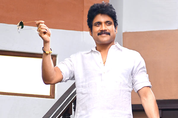 hero nagarjuna latest movie soggade chinni nayana,tollywood heroes in summer race,sardar gabbar singh in april,brahmotsavam in april,nagarjuna next movie oopiri in summer,allu arjun new movie sarainodu in summer  సమ్మర్‌ రేస్‌లో కూడా నాగ్‌ విన్‌ అవుతాడా? 